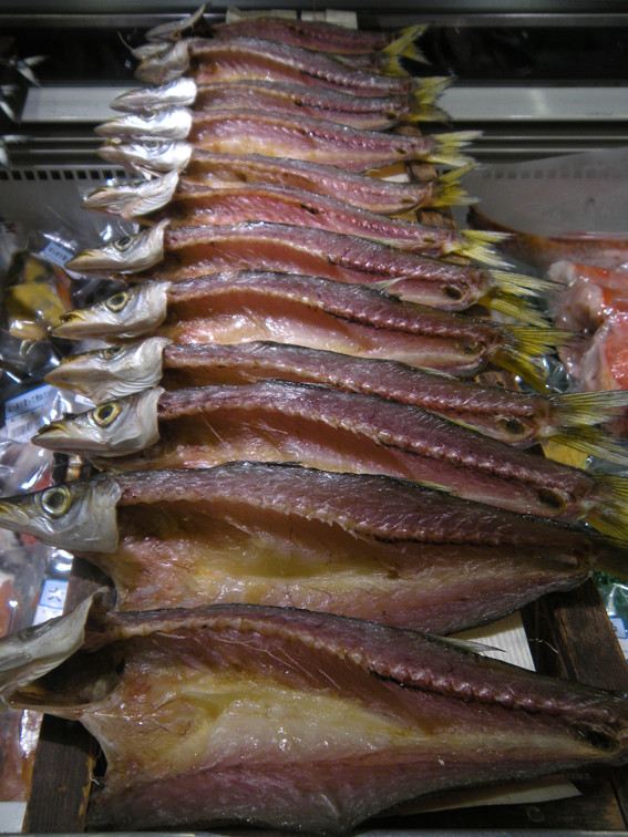 新しい店内 - 魚健ブログ掲載写真 2