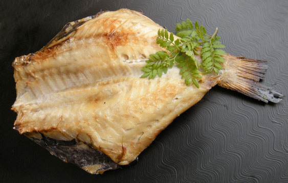 若葉の季節 - 魚健ブログ掲載写真 3