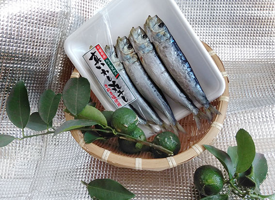 節分イワシ - 魚健ブログ掲載写真 2