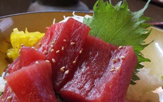 魚健 / 吉井本店ランチ - 魚健ブログ掲載写真 2
