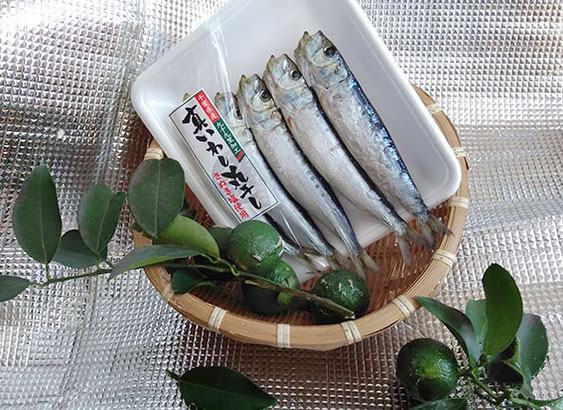 豊かな食卓