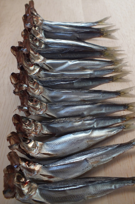 節分イワシ - 魚健ブログ掲載写真 3