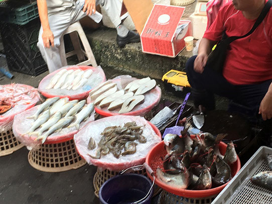 研修旅行 - 魚健ブログ掲載写真 3