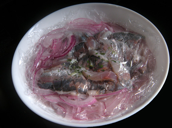 旬の小アジ - 魚健ブログ掲載写真 3
