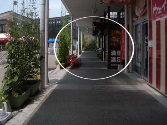 夏休み - 魚健ブログ掲載写真 3