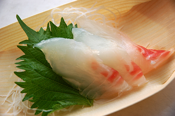 お家で、のんびり - 魚健ブログ掲載写真 2