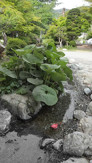 群馬県藤岡市って、こんなとこ - 魚健ブログ掲載写真 2